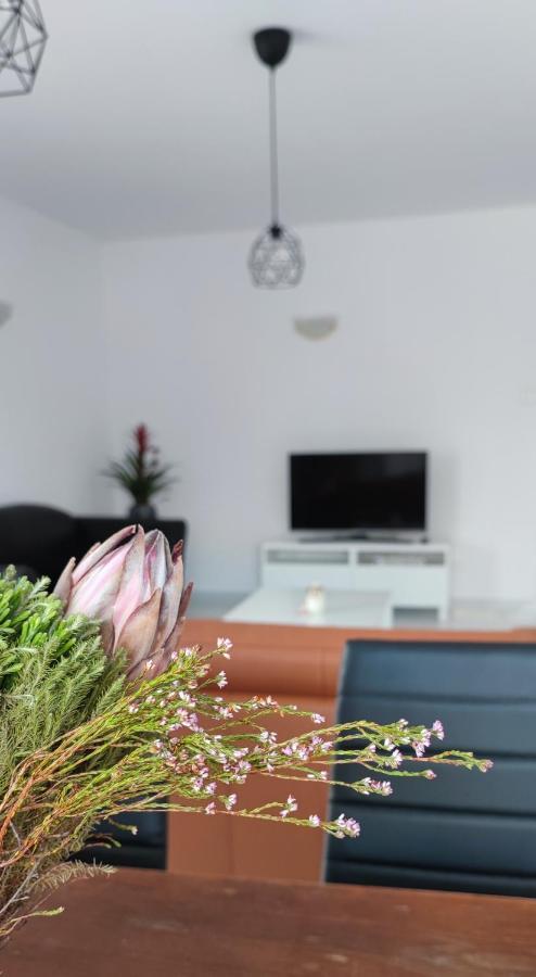 Ellas Modern Duplex City Center Nicosia Exterior photo